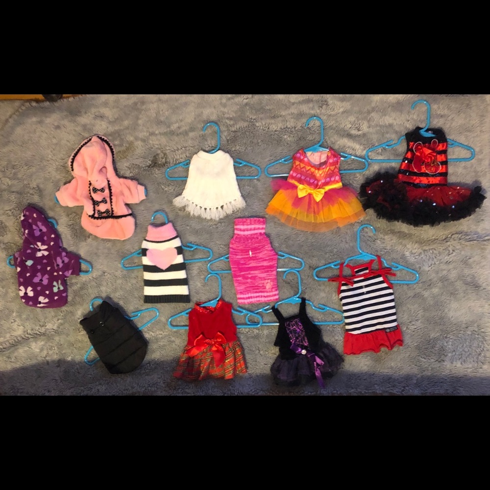 XS dog clothes - great condition